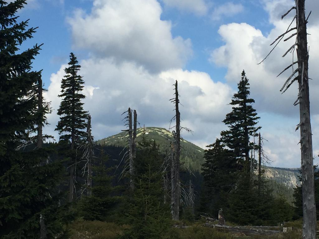 Lucni Dum Apartment Spindleruv Mlyn Bagian luar foto