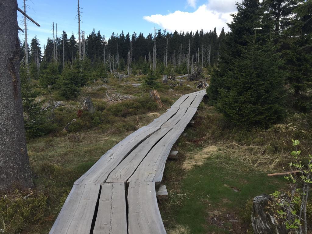 Lucni Dum Apartment Spindleruv Mlyn Bagian luar foto