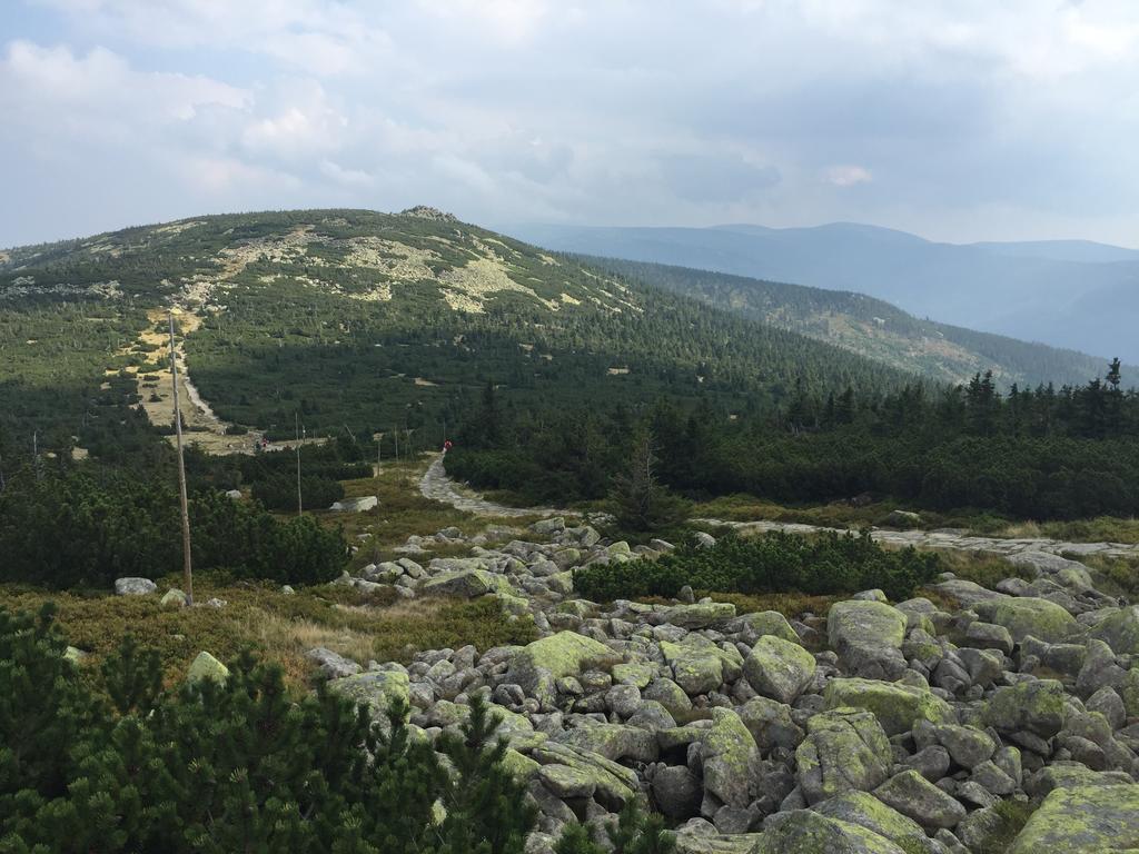 Lucni Dum Apartment Spindleruv Mlyn Bagian luar foto
