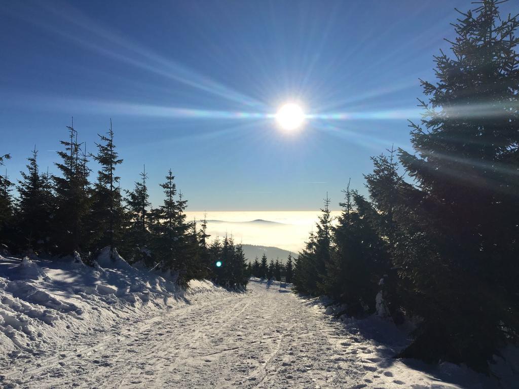 Lucni Dum Apartment Spindleruv Mlyn Bagian luar foto