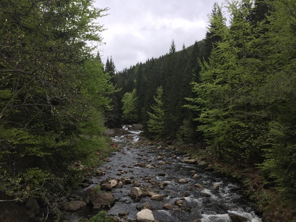 Lucni Dum Apartment Spindleruv Mlyn Bagian luar foto