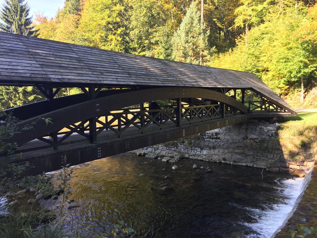 Lucni Dum Apartment Spindleruv Mlyn Bagian luar foto