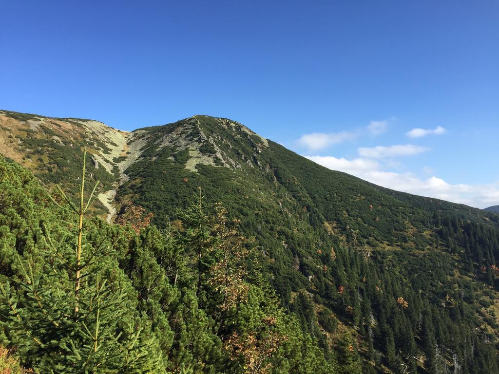 Lucni Dum Apartment Spindleruv Mlyn Bagian luar foto