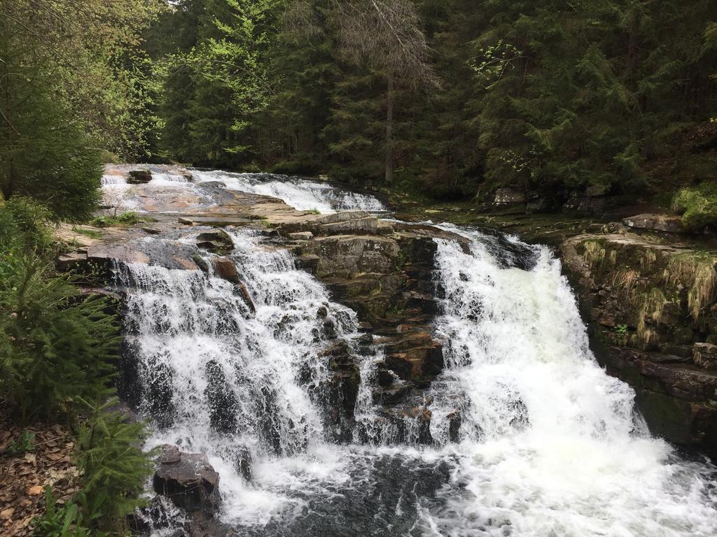 Lucni Dum Apartment Spindleruv Mlyn Bagian luar foto