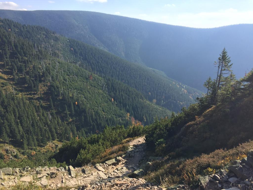 Lucni Dum Apartment Spindleruv Mlyn Bagian luar foto